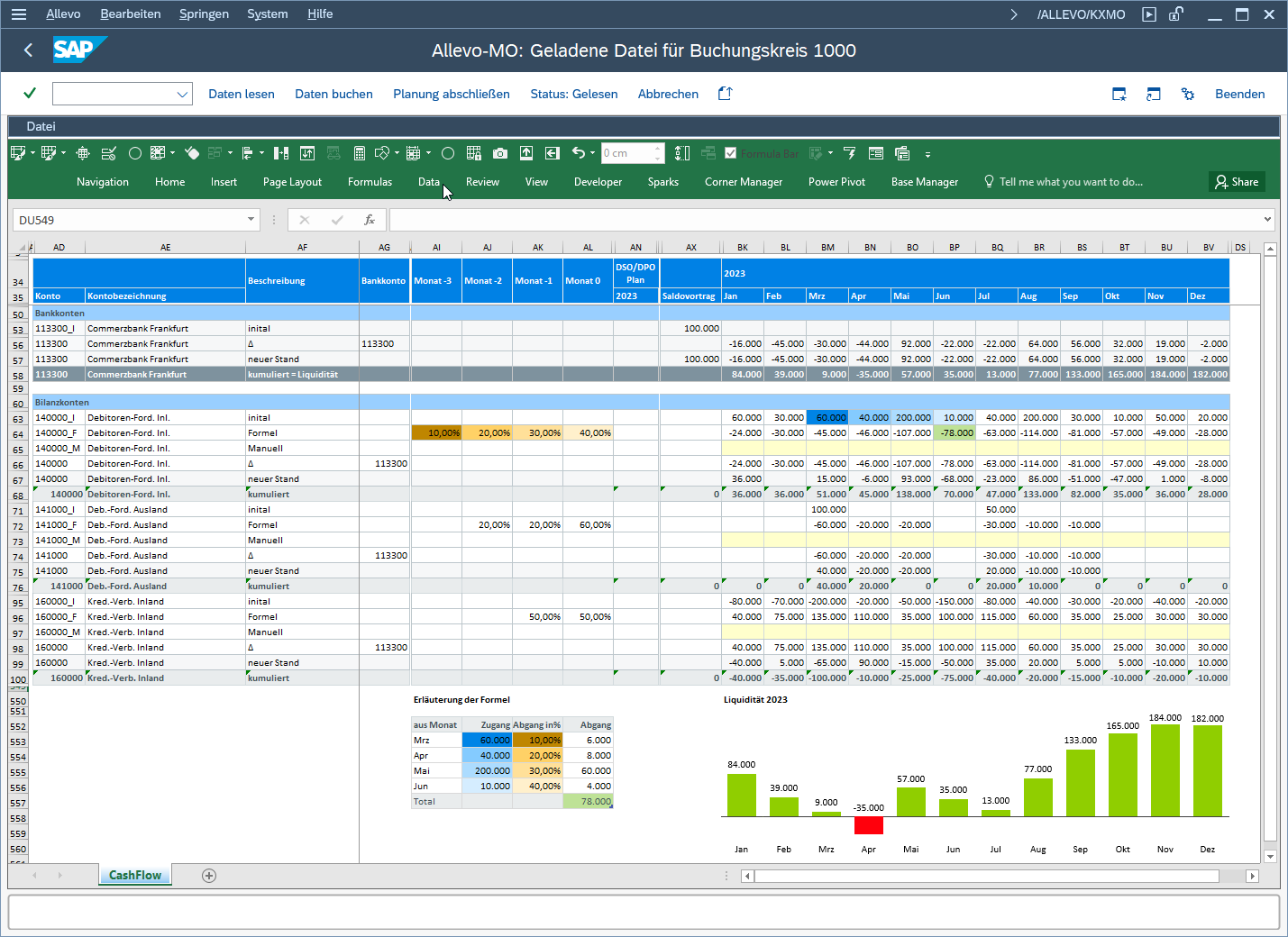 Example of cash flow planning with Allevo